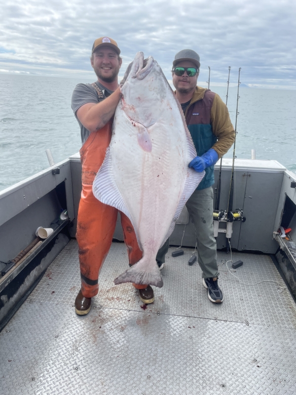 alaska halibut charters